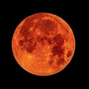 Meet your Posher, Jeffrey